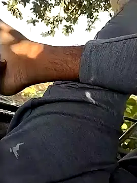 jellydicks online show from 21, 11, 2025