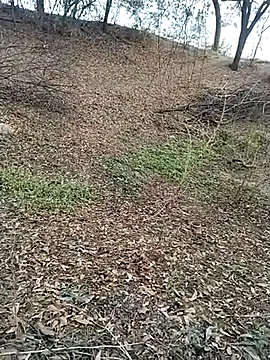 Snapshot of jellydicks chatting on 28, 2, 2026 jellydicks online show from 28, 2, 2026