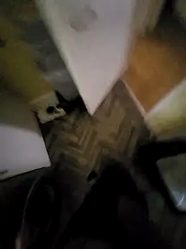 Snapshot of Polish41 chatting on 31, 3, 2026 Polish41 online show from 31, 3, 2026