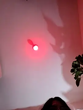 ferwambier online show from 12, 2, 2026