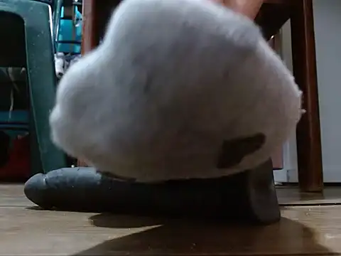 sammy goddess online show from 8, 2, 2026