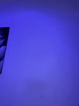  Chartlotte online show from 4, 2, 2025