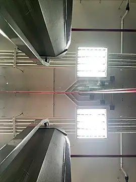 luv2masterb8247 online show from 4, 3, 2025