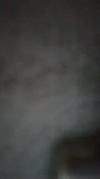 Snapshot of axelongshaft69 chatting on 25, 2, 2025 axelongshaft69 online show from 25, 2, 2025