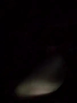 Snapshot of axelongshaft69 chatting on 9, 3, 2026 axelongshaft69 online show from 9, 3, 2026