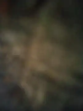 Snapshot of axelongshaft69 chatting on 7, 4, 2026 axelongshaft69 online show from 7, 4, 2026