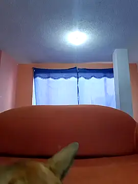 Snapshot of thoom-d chatting on 25, 2, 2025 thoom-d online show from 25, 2, 2025