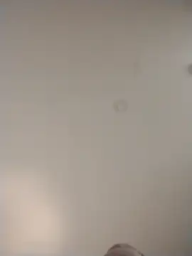 Snapshot of geilerschwanz64 chatting on 22, 12, 2025 geilerschwanz64 online show from 22, 12, 2025