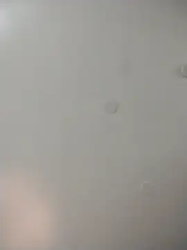 Snapshot of geilerschwanz64 chatting on 22, 12, 2025 geilerschwanz64 online show from 22, 12, 2025