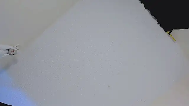 missycanoo online show from 22, 10, 2025