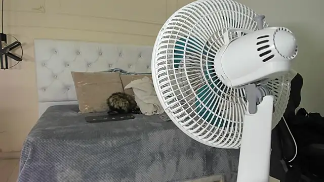 Snapshot of Slut_Milf_ chatting on 23, 1, 2025 Slut Milf  online show from 23, 1, 2025