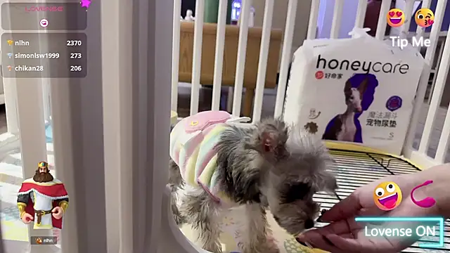 Bunny Tutu online show from 18, 1, 2025