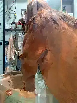 Snapshot of Aimeil chatting on 18, 11, 2025 Aimeil online show from 18, 11, 2025