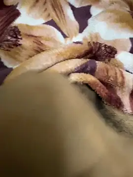 Snapshot of hamed-697 chatting on 16, 12, 2024 hamed-697 online show from 16, 12, 2024