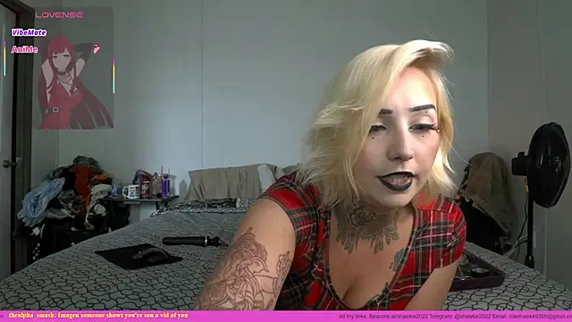 Snapshot of shawkw2022 chatting on 17, 6, 2026 shawkw2022 online show from 17, 6, 2026