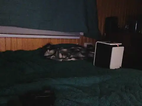 Thenicecook online show from 23, 10, 2025