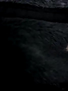 Snapshot of MetalJoint2 chatting on 30, 11, 2025 MetalJoint2 online show from 30, 11, 2025