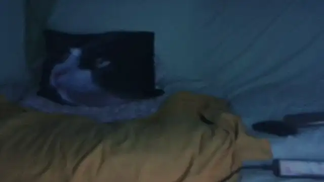 VeneRed online show from 17, 9, 2025