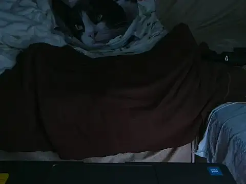 VeneRed online show from 4, 10, 2025