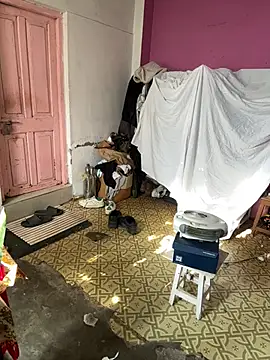 alburt 1996 online show from 12, 1, 2026