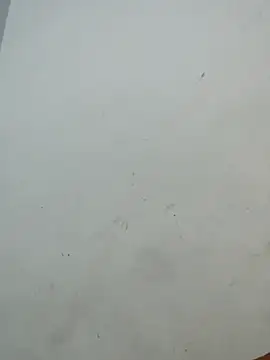 Sania-Love online show from 2, 12, 2025