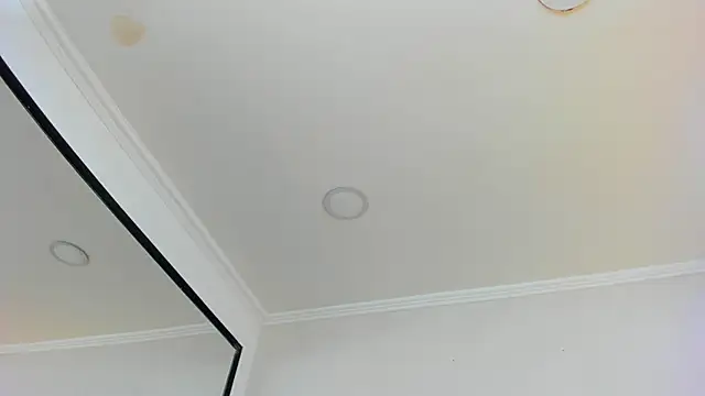 Loggan donnelly online show from 10, 3, 2025