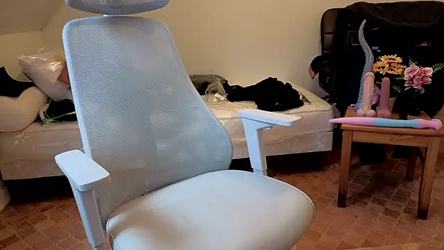 Snapshot of SteveStiffbone chatting on 1, 2, 2026 SteveStiffbone online show from 1, 2, 2026