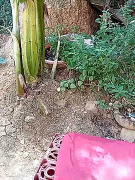 Snapshot of tayson_ chatting on 11, 1, 2025 tayson online show from 11, 1, 2025