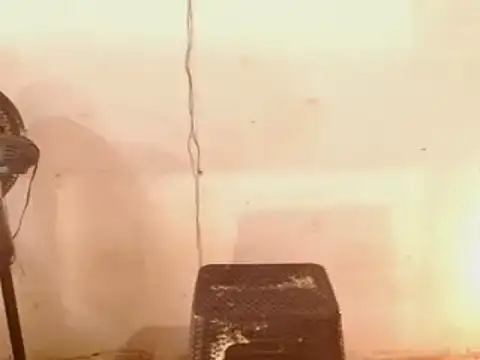 Snapshot of DiablaArdiente05 chatting on 29, 4, 2026 DiablaArdiente05 online show from 29, 4, 2026
