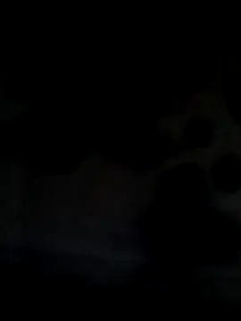 Snapshot of Leocesar37 chatting on 21, 6, 2026 Leocesar37 online show from 21, 6, 2026