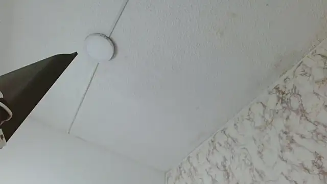 Snapshot of AlexaFontana chatting on 14, 2, 2026 AlexaFontana online show from 14, 2, 2026