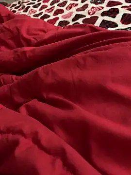 Snapshot of Mingtian4117 chatting on 3, 3, 2026 Mingtian4117 online show from 3, 3, 2026