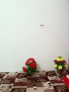 Snapshot of Saroj-Shah chatting on 11, 10, 2025 Saroj-Shah online show from 11, 10, 2025