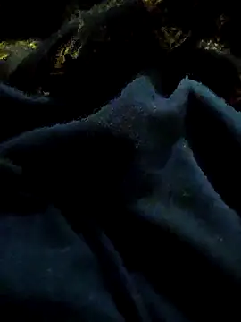 Snapshot of pusssyhub chatting on 29, 11, 2025 pusssyhub online show from 29, 11, 2025