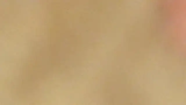 AraCopple online show from 31, 12, 2024