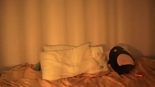 Luna OrionSky online show from 13, 11, 2025