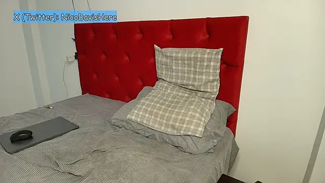 Snapshot of NicoDavisHere chatting on 9, 1, 2026 NicoDavisHere online show from 9, 1, 2026