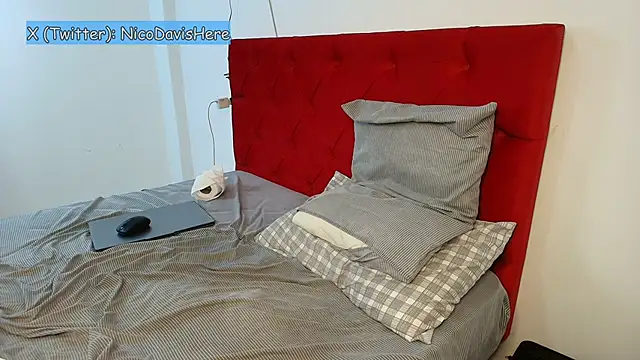 Snapshot of NicoDavisHere chatting on 1, 2, 2026 NicoDavisHere online show from 1, 2, 2026