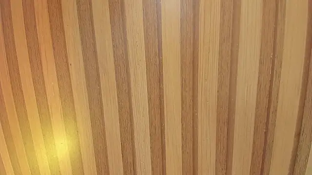 Snapshot of Taylor__cooper chatting on 6, 2, 2026 Taylor cooper online show from 6, 2, 2026