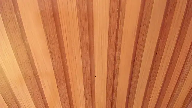 Snapshot of Taylor__cooper chatting on 12, 2, 2026 Taylor cooper online show from 12, 2, 2026