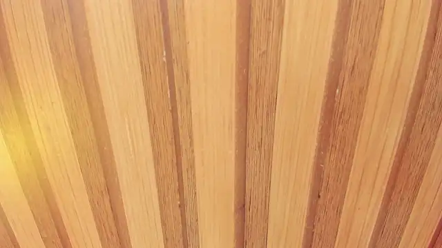 Snapshot of Taylor__cooper chatting on 18, 2, 2026 Taylor cooper online show from 18, 2, 2026