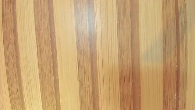 Snapshot of Taylor__cooper chatting on 23, 2, 2026 Taylor cooper online show from 23, 2, 2026