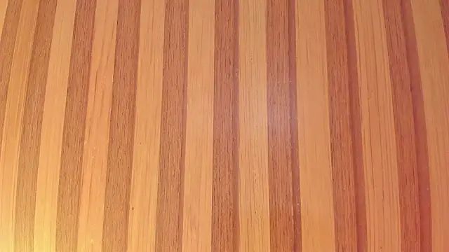 Snapshot of Taylor__cooper chatting on 27, 2, 2026 Taylor cooper online show from 27, 2, 2026