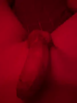 kevin344112 online show from 12, 12, 2024