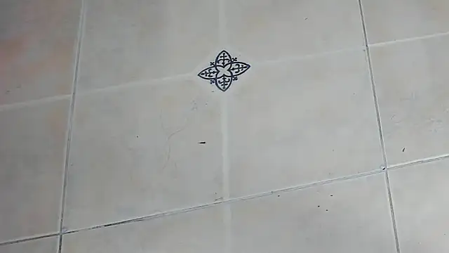 playsgirlhot online show from 3, 2, 2026