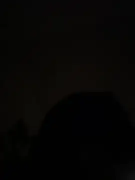 cumwatch3376 online show from 12, 2, 2026