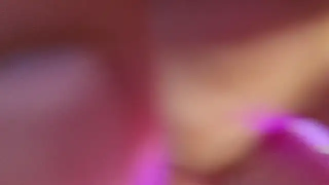 haileycat online show from 17, 9, 2025