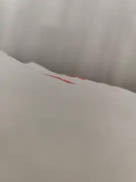 SertSikici022 online show from 11, 9, 2025