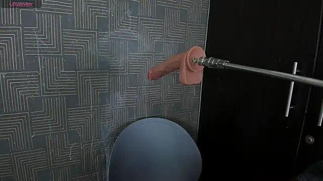 Snapshot of grace-3 chatting on 29, 11, 2025 grace-3 online show from 29, 11, 2025