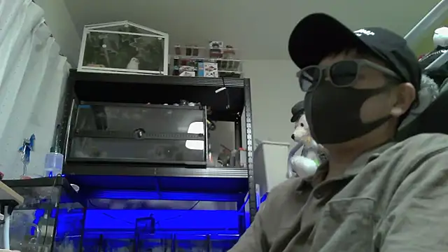 Snapshot of Owl1216 chatting on 4, 12, 2024 Owl1216 online show from 4, 12, 2024